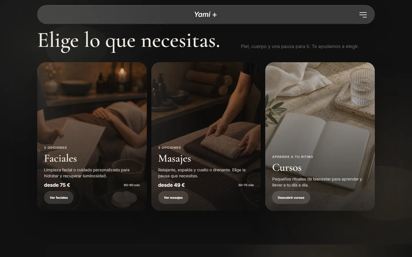 Sección de servicios de la web
